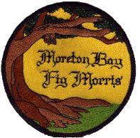 Morton Bay Fig Morris